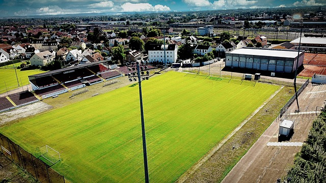 快船队如何 快船队如何