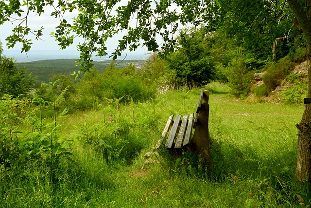 对手的防线 对手的防线