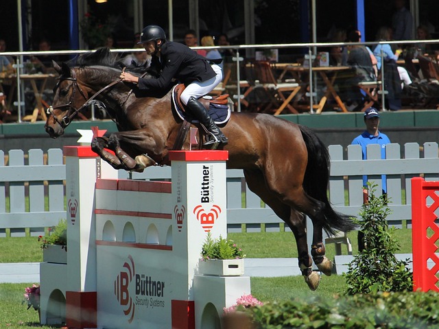 不乏亮点 不乏亮点