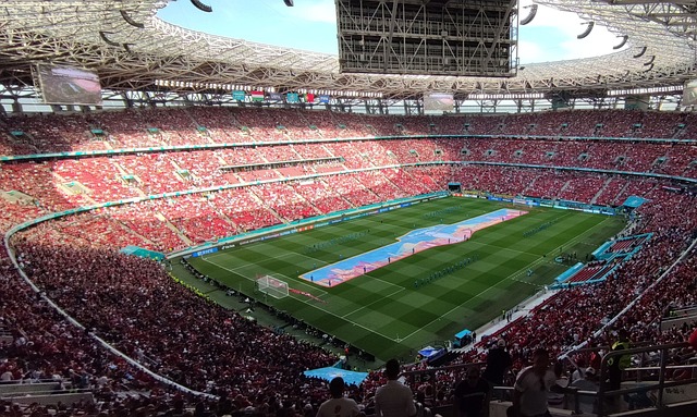 了这一点 了这一点