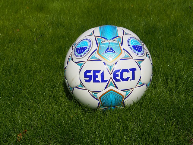 他還運用了 他還運用了