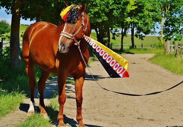 段往往在面 段往往在面
